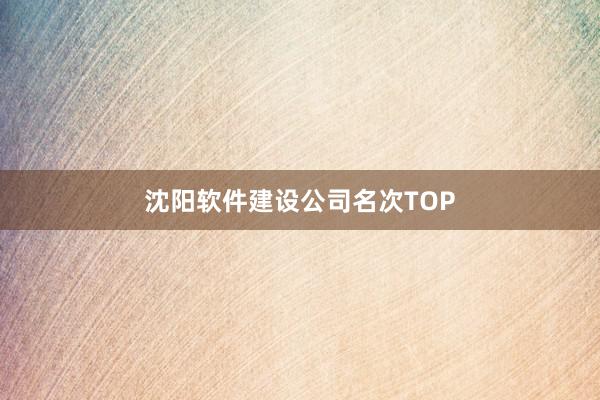 沈阳软件建设公司名次TOP