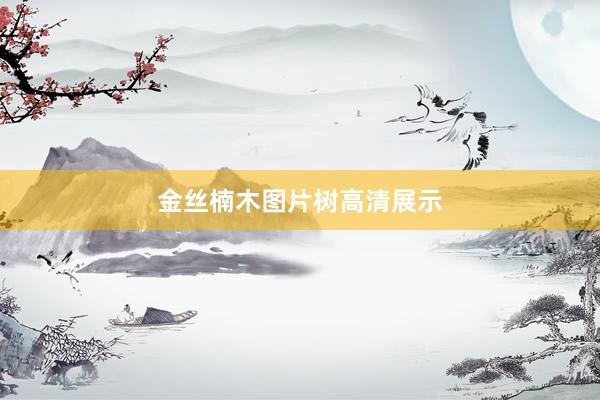 金丝楠木图片树高清展示
